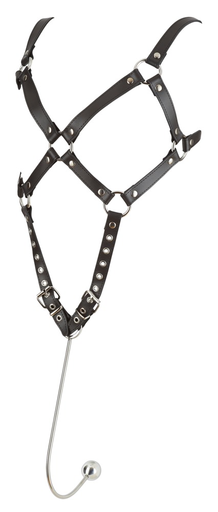 Leder-Harness