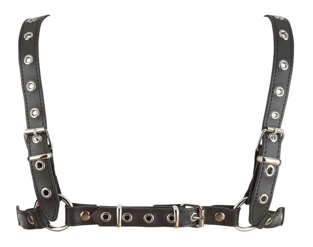 Leder-Harness