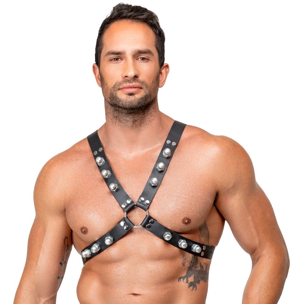 Brustharness aus Leder