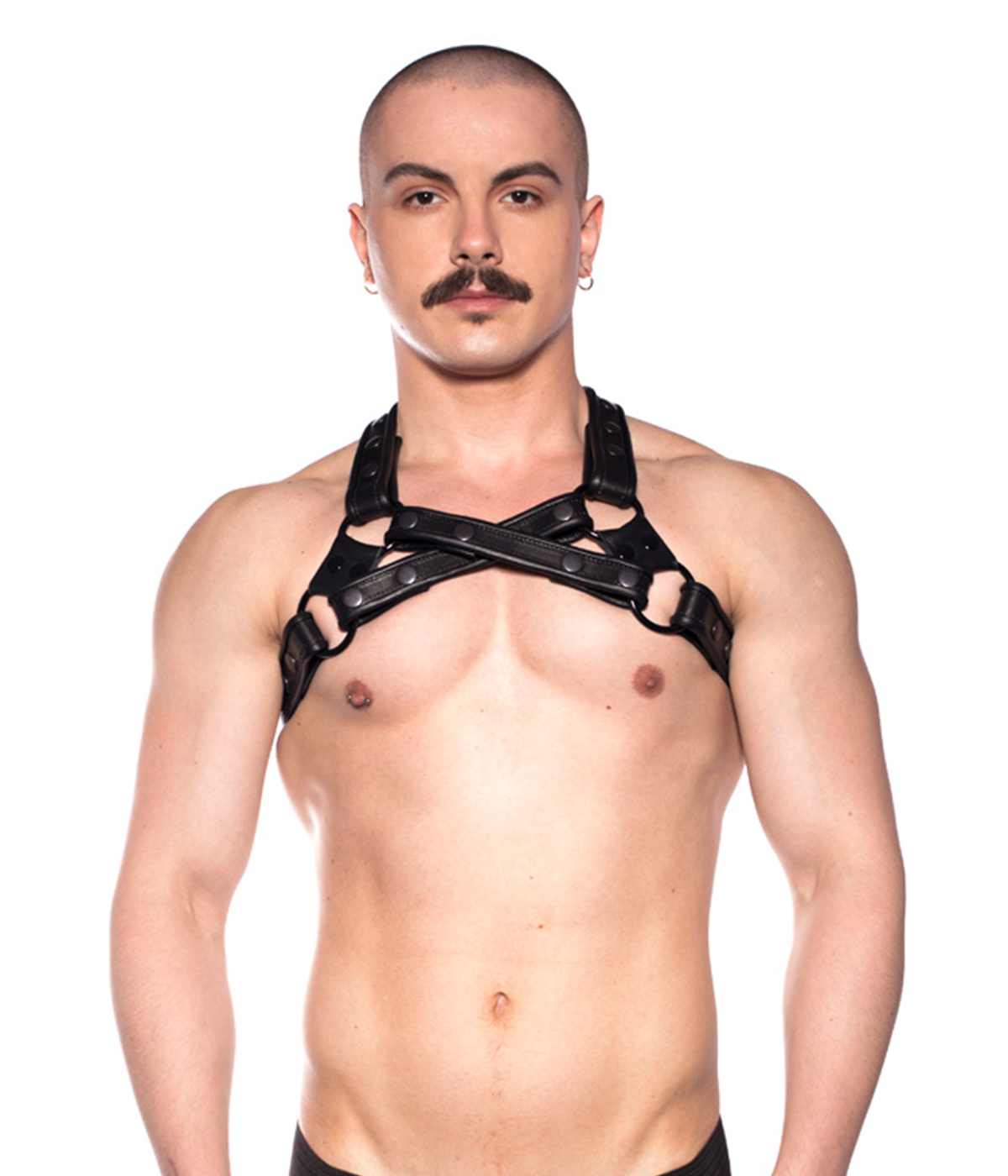 PROWLER RED BULL HARNESS BLACK