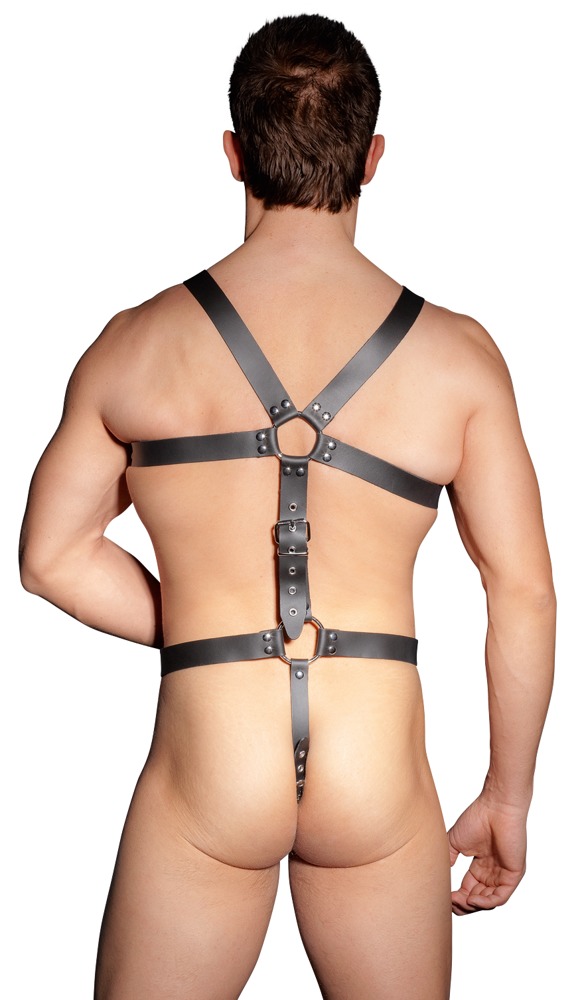 Harness Harness