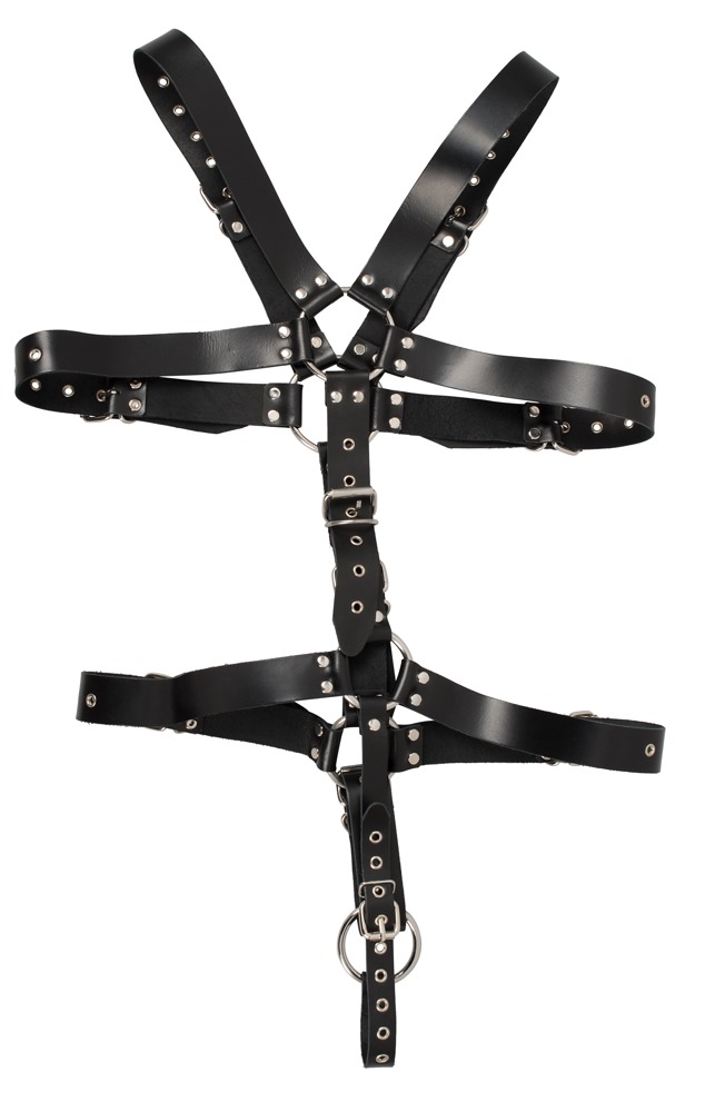 Harness Harness