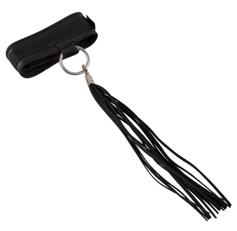 Halsband und Flogger