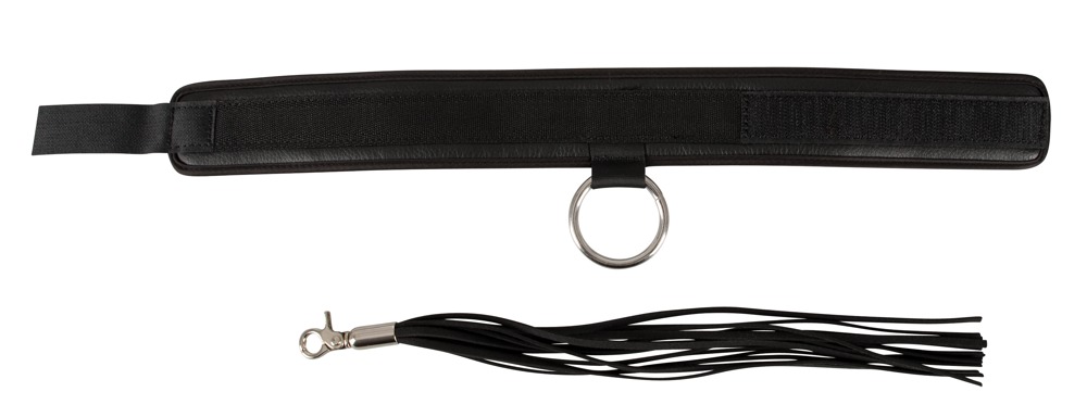 Halsband und Flogger