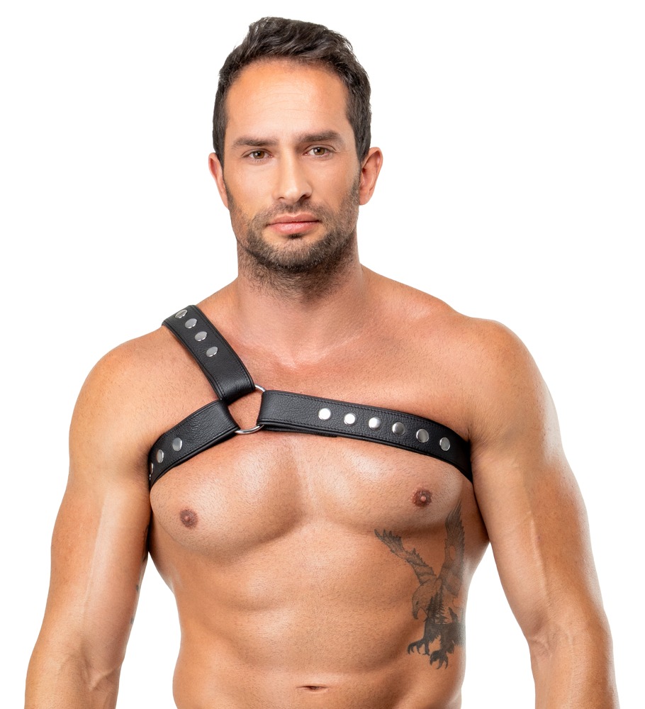 Brustharness aus Leder