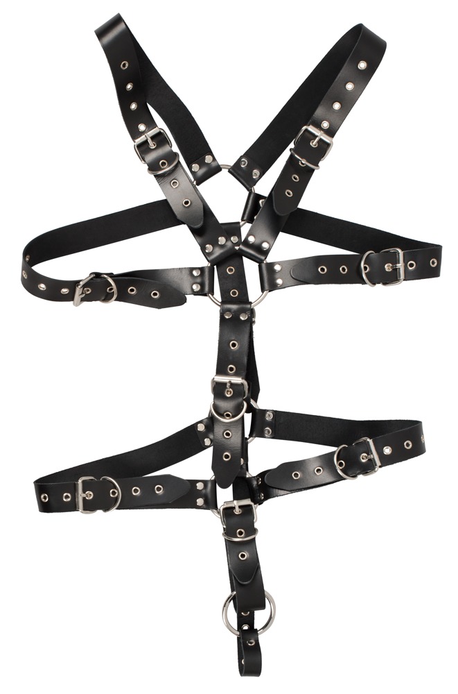Harness Harness