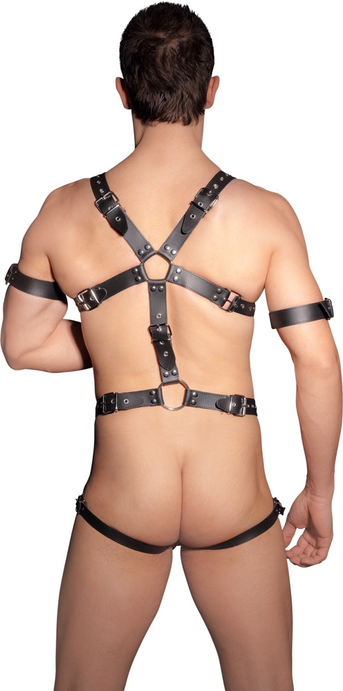 Harness Harness